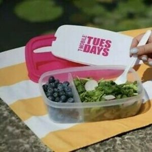 3/$10 🌟 T-Mobile Tuesday Bento Lunch Box 5 Piece Set